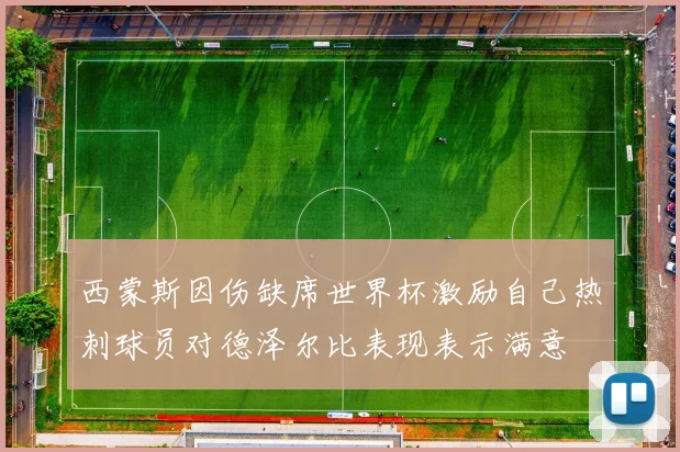 西蒙斯因伤缺席世界杯激励自己热刺球员对德泽尔比表现表示满意