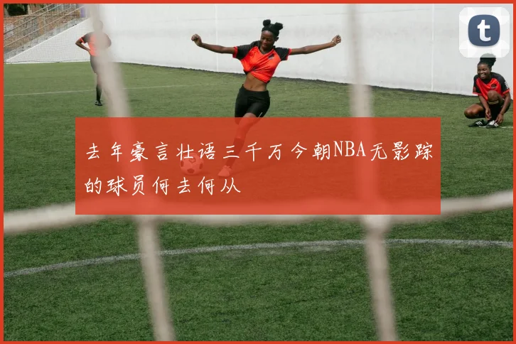 去年豪言壮语三千万今朝NBA无影踪的球员何去何从